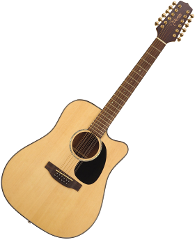 12-strenget guitar (Takamine EG345C)